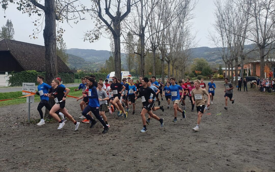 Crosslauf- Landesmeisterschaften