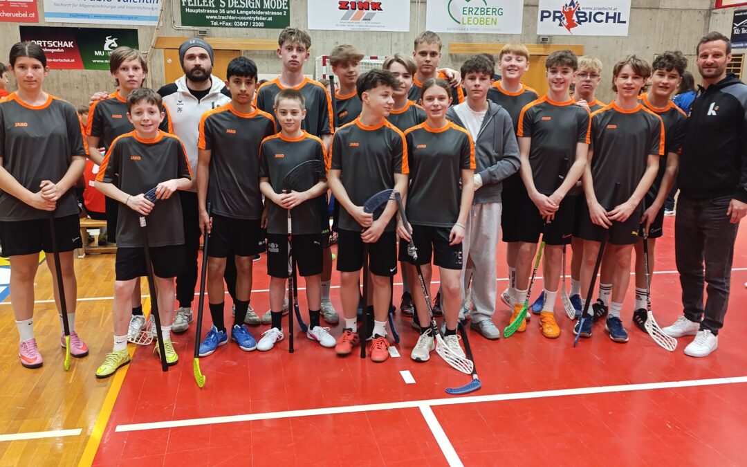 Bericht von den Landesmeisterschaften in Trofaiach -Floorball